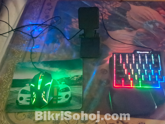 Rgp keyboards and maus